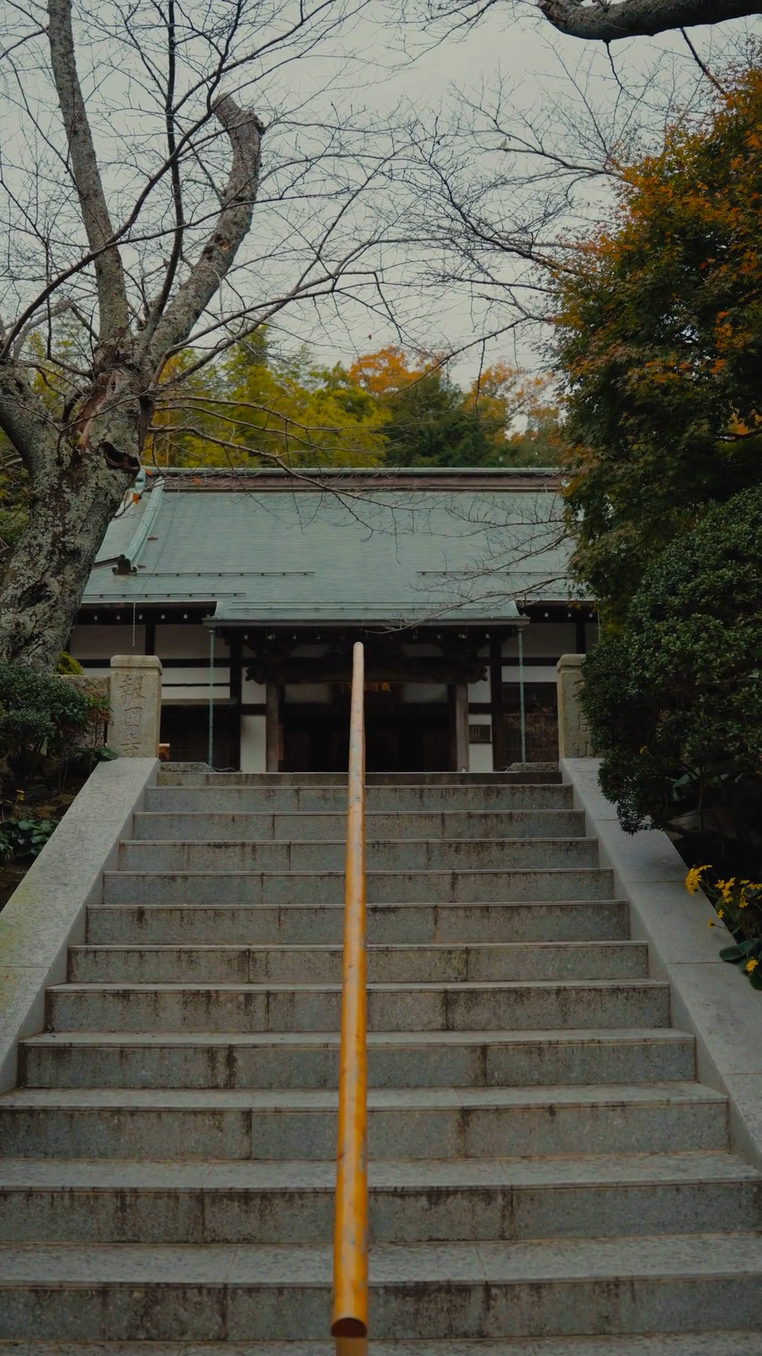 Manually edited video reference